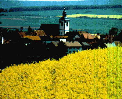 Seniorentreff