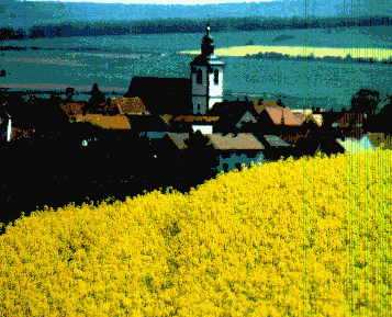 Bürgerhaus