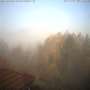 2011-11-21.html