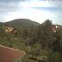 2021-06-12.html