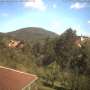 2021-07-31.html