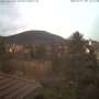 2022-01-31.html
